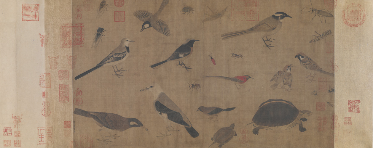 图片[1]-Huang Quan’s sketch of rare birds-China Archive